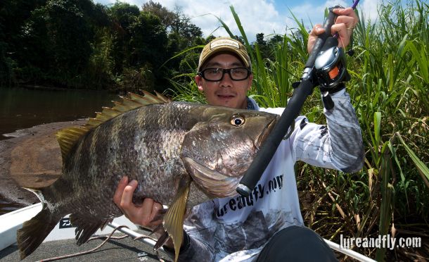 TESTED: Daiwa TMX-G 601H & Z2020H baitcaster combo